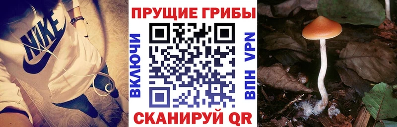 Псилоцибиновые грибы ЛСД  купить  цена  MEGA маркетплейс  Сочи 