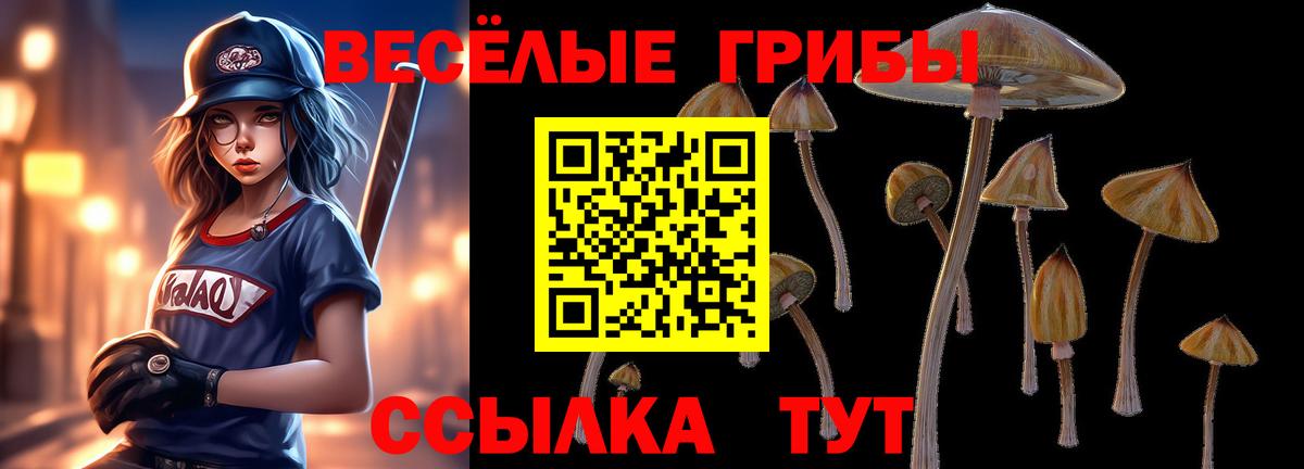 Галлюциногенные грибы прущие грибы Сочи